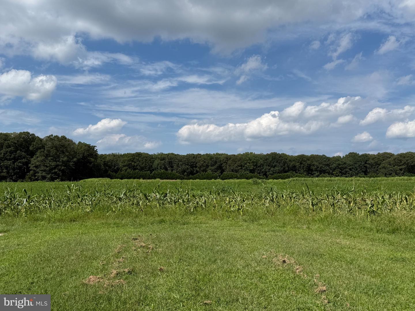 437 Ramah Rd Property Photo 5