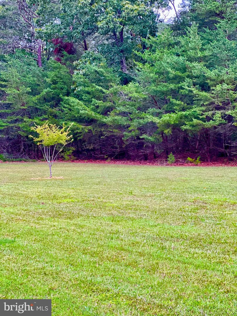 350 Lummistown Rd Property Photo 23