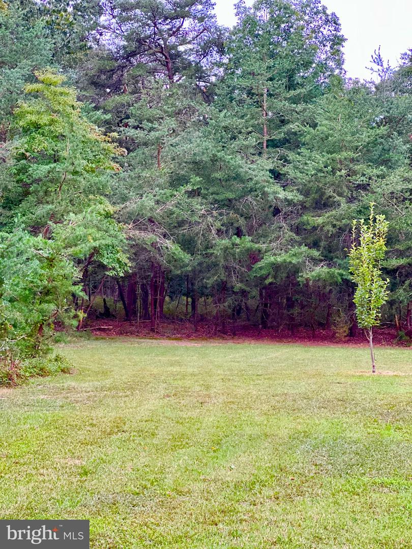 350 Lummistown Rd Property Photo 24
