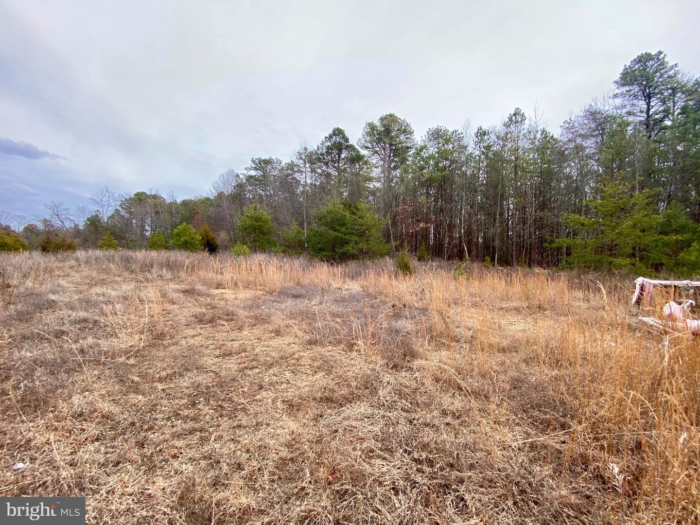 785 WHITE HORSE PIKE Property Photo 1