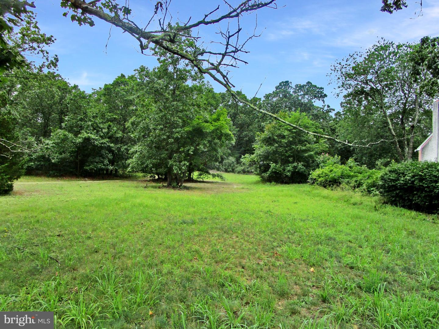 0 Maple Ave Property Photo 1