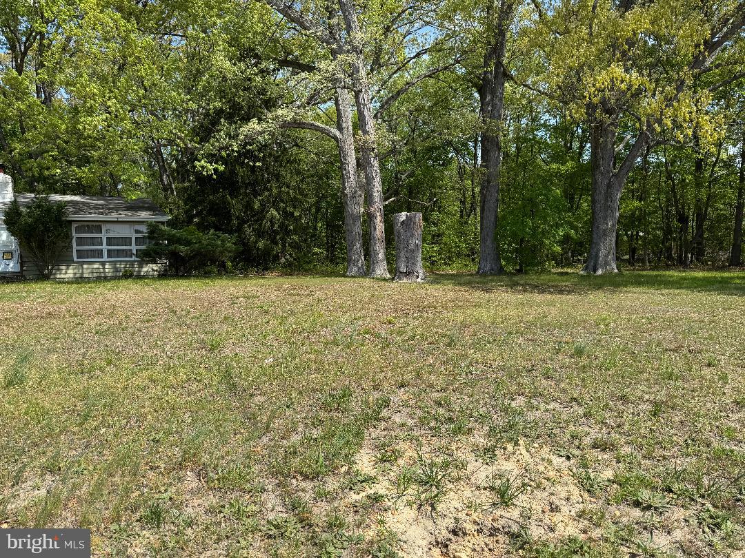 1531 Blackwood Clementon Rd Property Photo 35