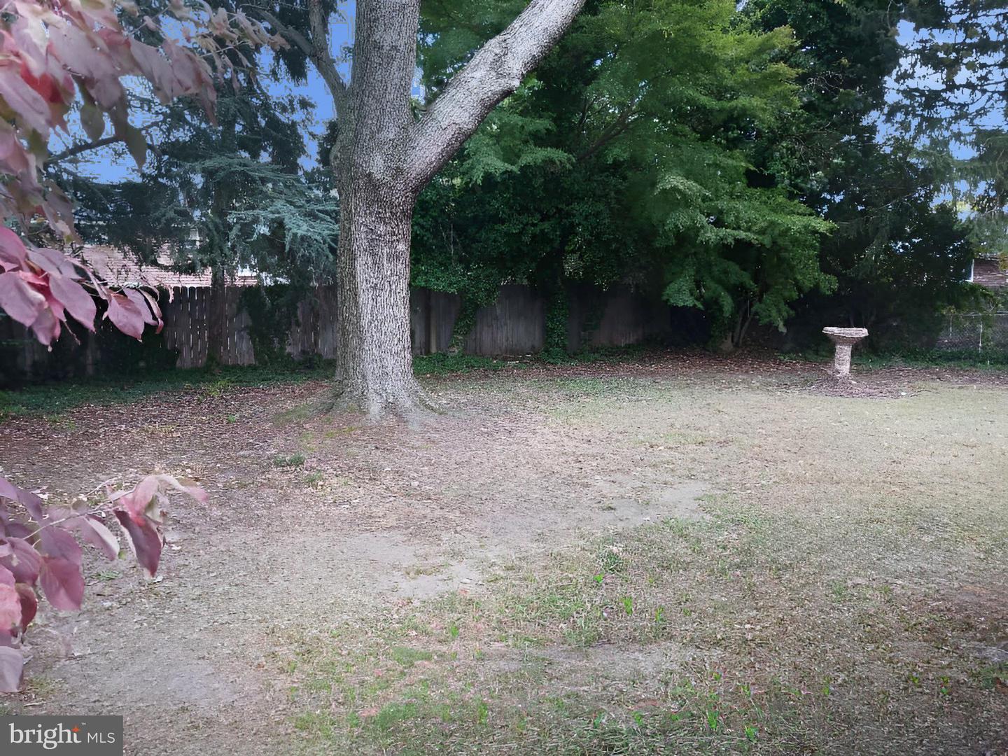 4209 Royal Ave Property Photo 2