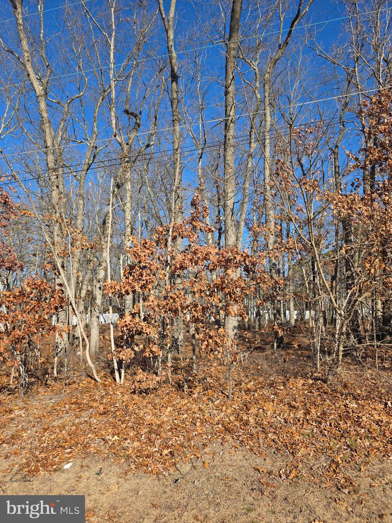 Thompson Ave Property Photo 3