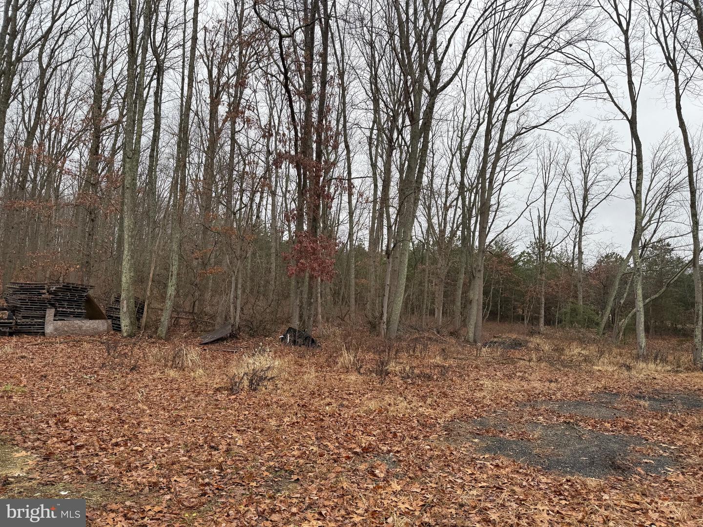 813 N White Horse Pike Property Photo 1
