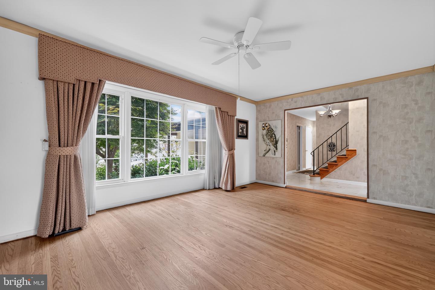 1 Bucknell Dr Property Photo 6