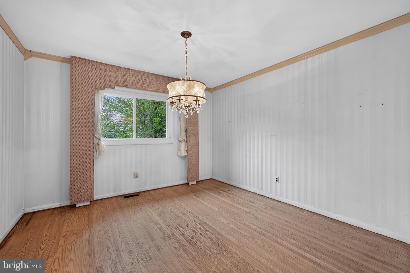 1 Bucknell Dr Property Photo 11