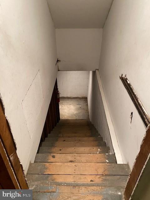 419 Black Horse Pike Property Photo 17