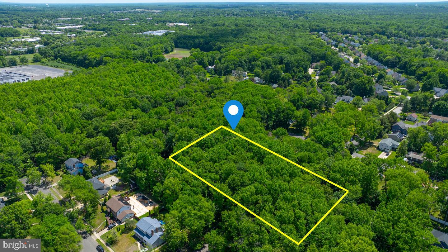 1408 Locust Ave Property Photo 3