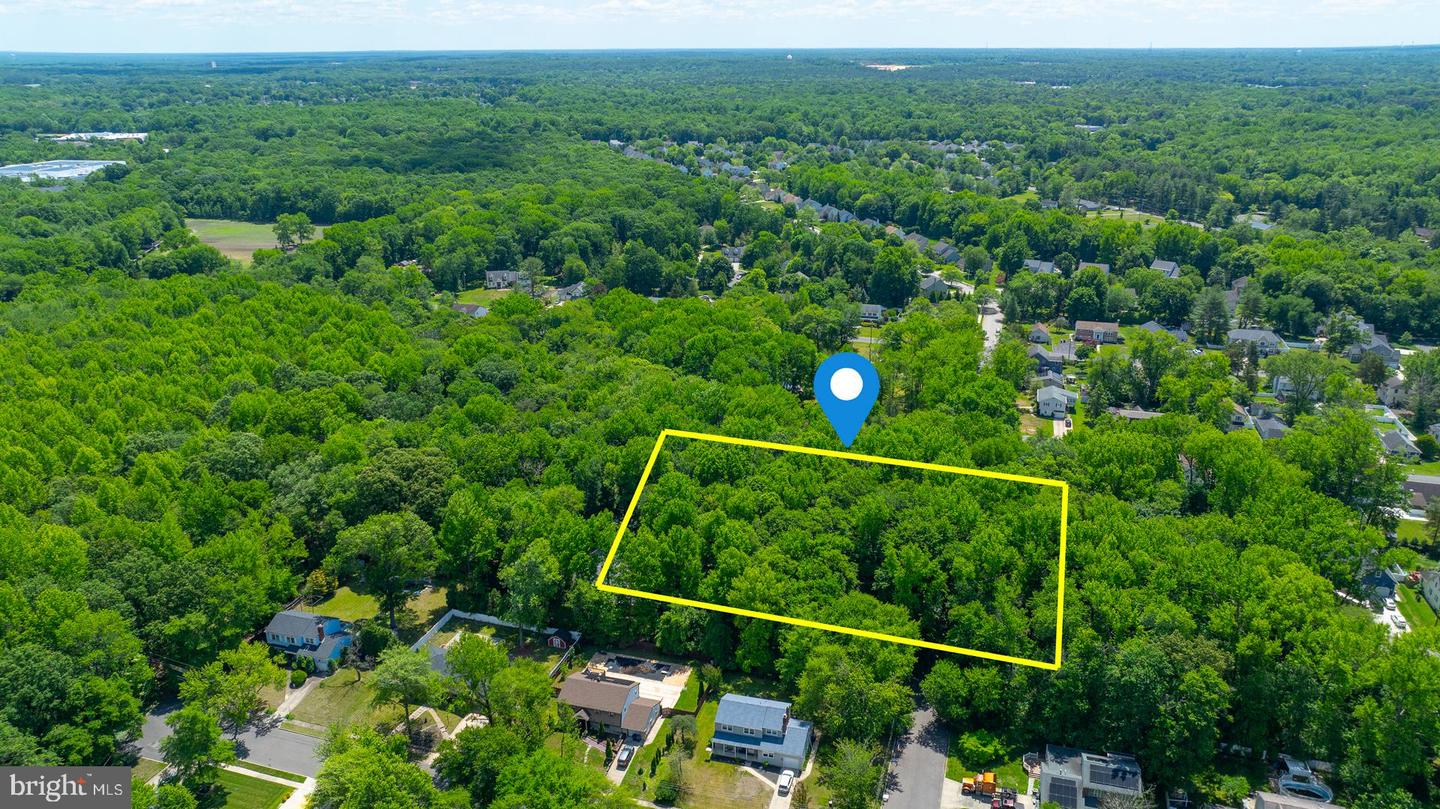 1408 Locust Ave Property Photo 4