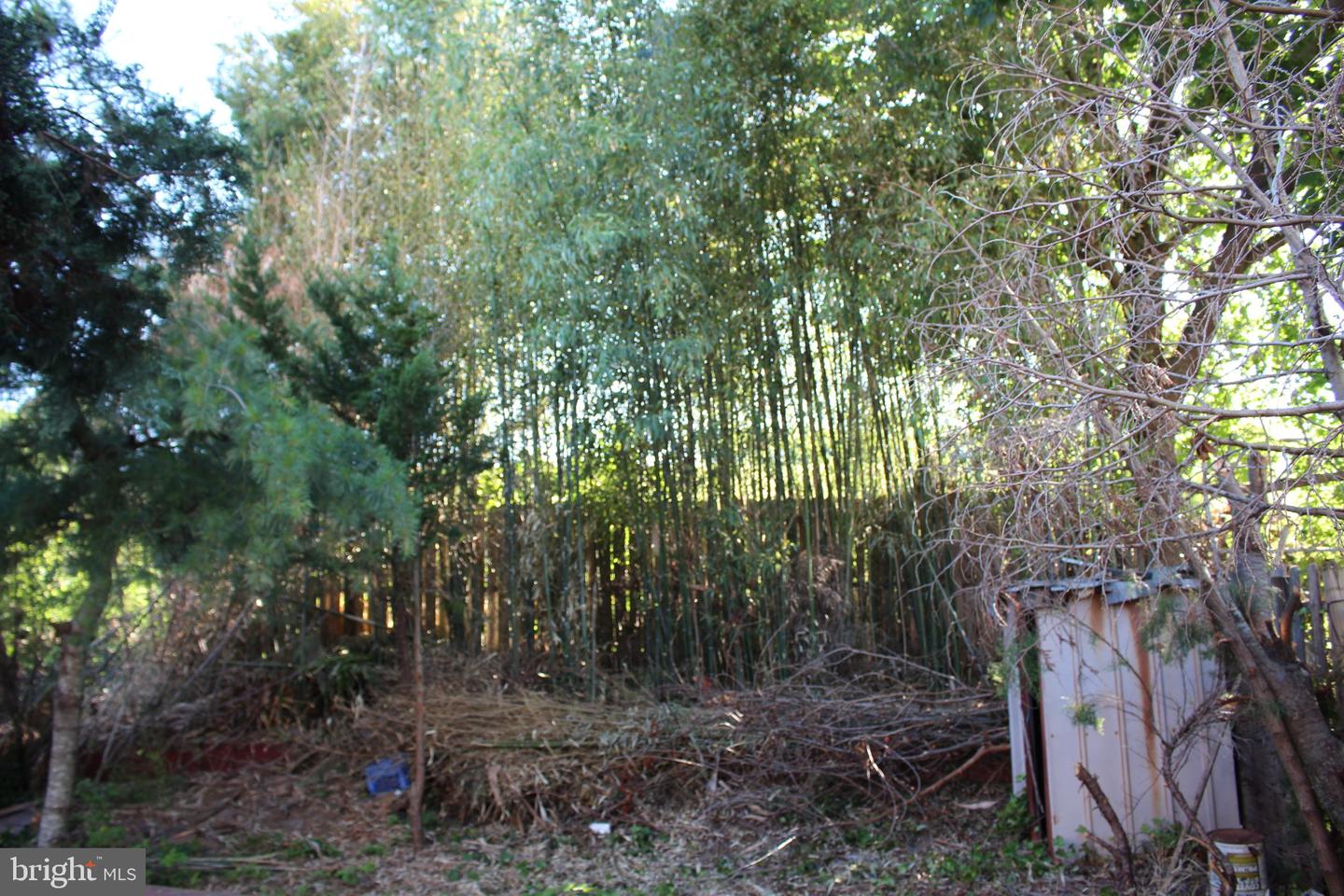 146 Oakmont Rd Property Photo 36