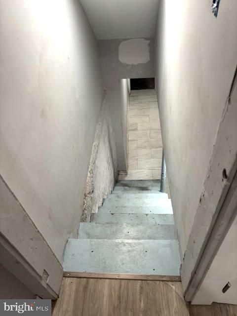1557 Mount Ephraim Ave Property Photo 48
