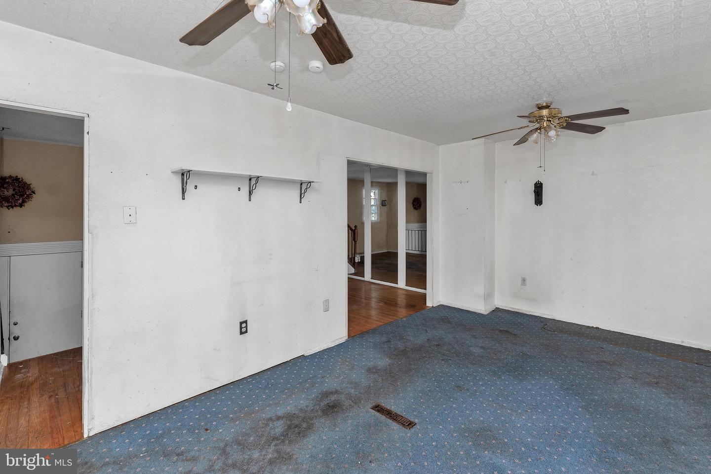 16 Constitution Rd Property Photo 15