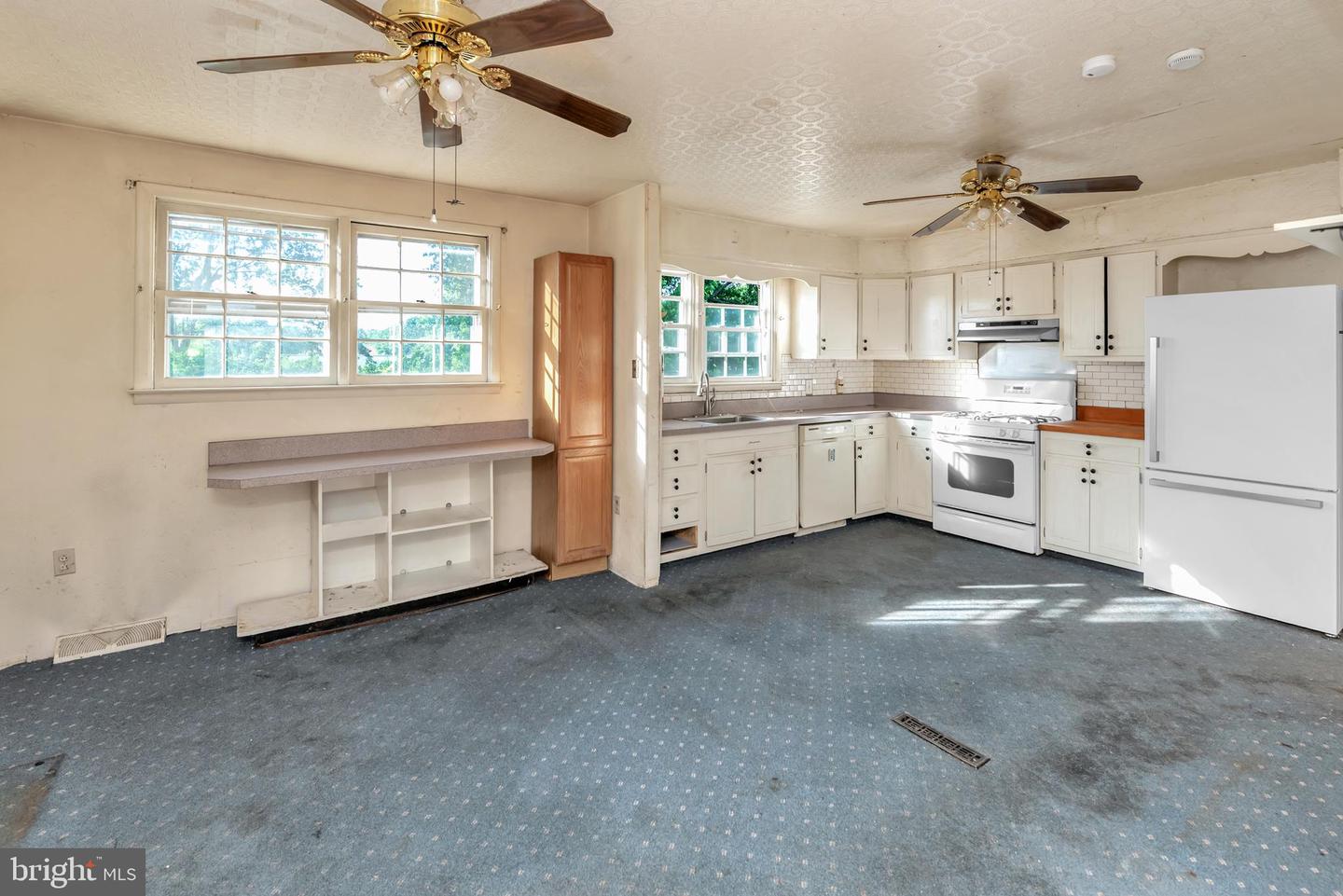 16 Constitution Rd Property Photo 17