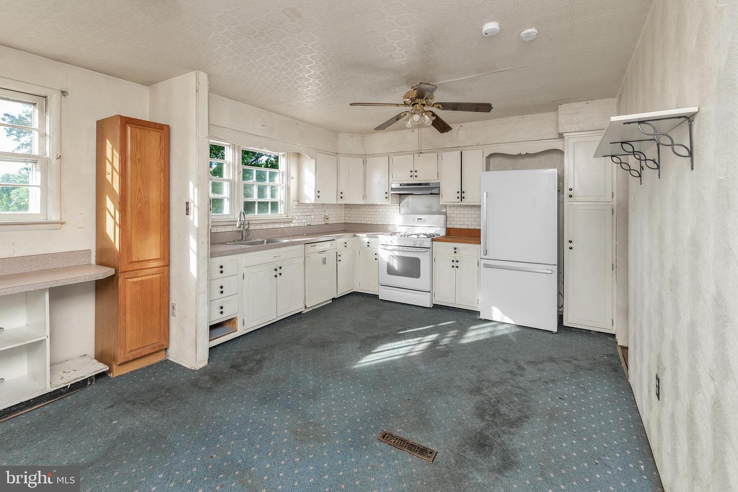 16 Constitution Rd Property Photo 18
