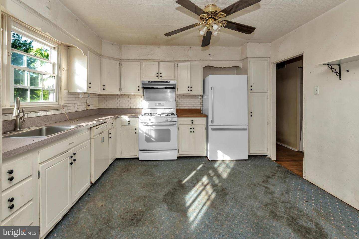 16 Constitution Rd Property Photo 21