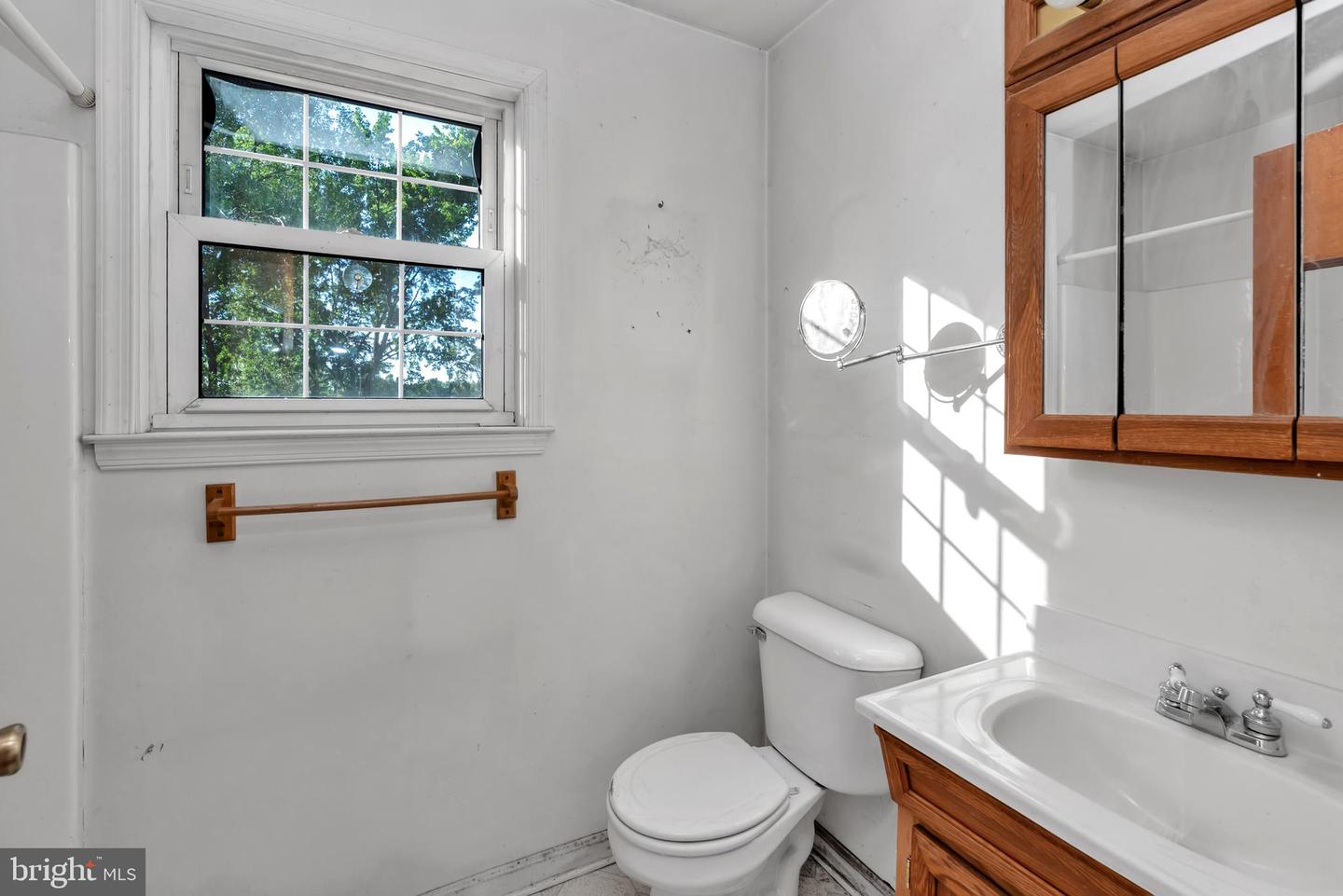 16 Constitution Rd Property Photo 24