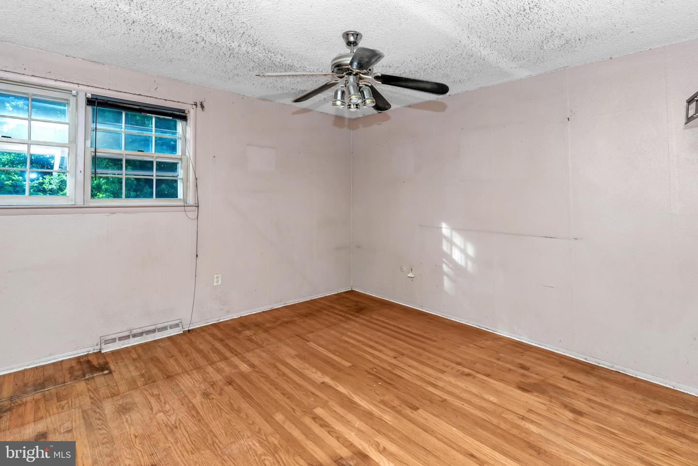 16 Constitution Rd Property Photo 35