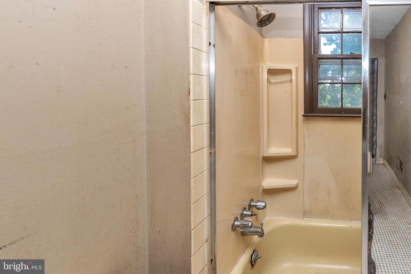 16 Constitution Rd Property Photo 39