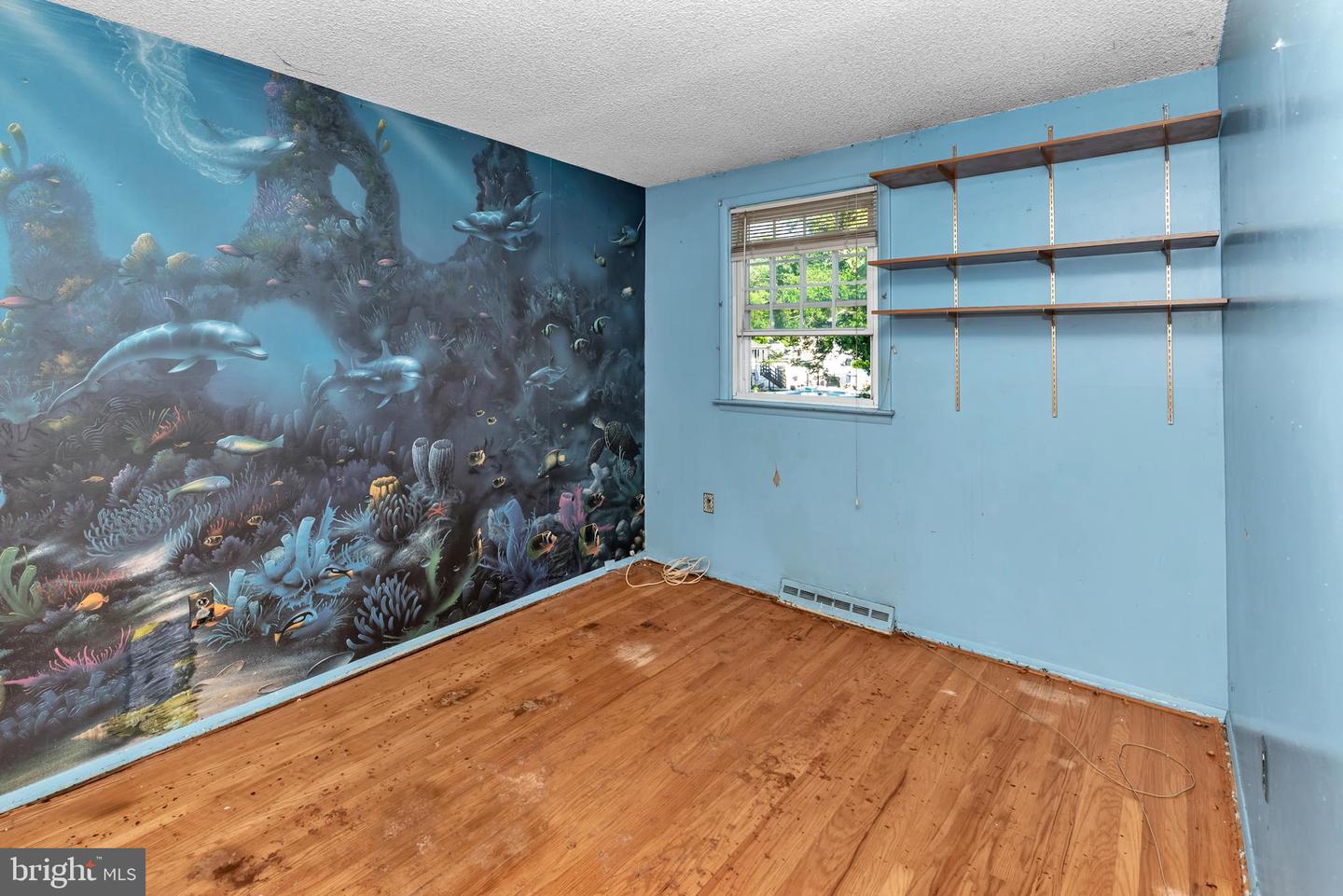 16 Constitution Rd Property Photo 43