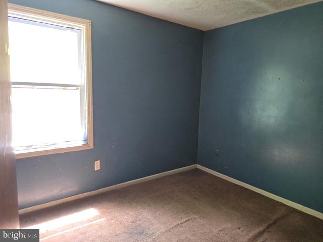 239 Garfield Ave Property Photo 18
