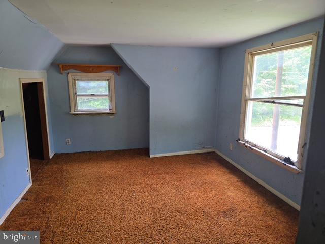 239 Garfield Ave Property Photo 19