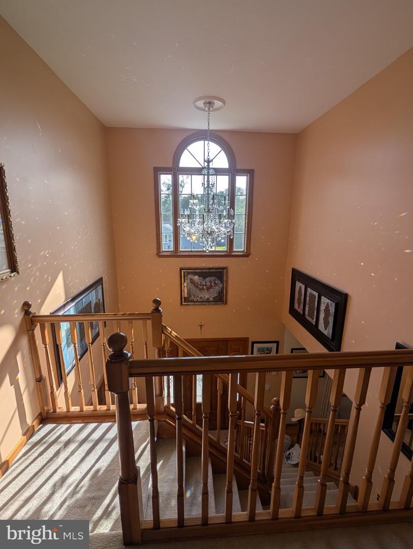 12 Elinor Ave Property Photo 35