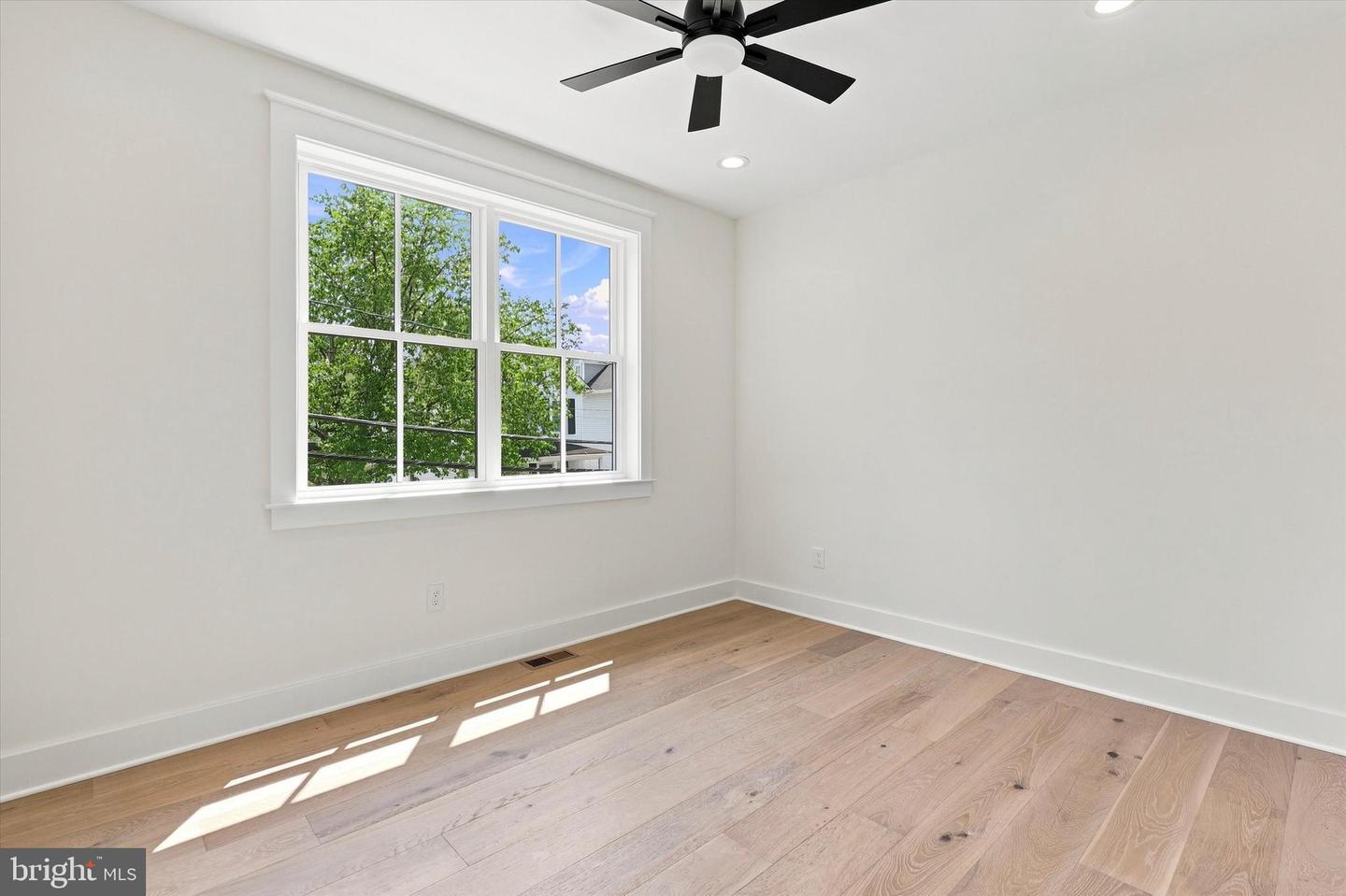 27 Wilkins Ave Property Photo 18