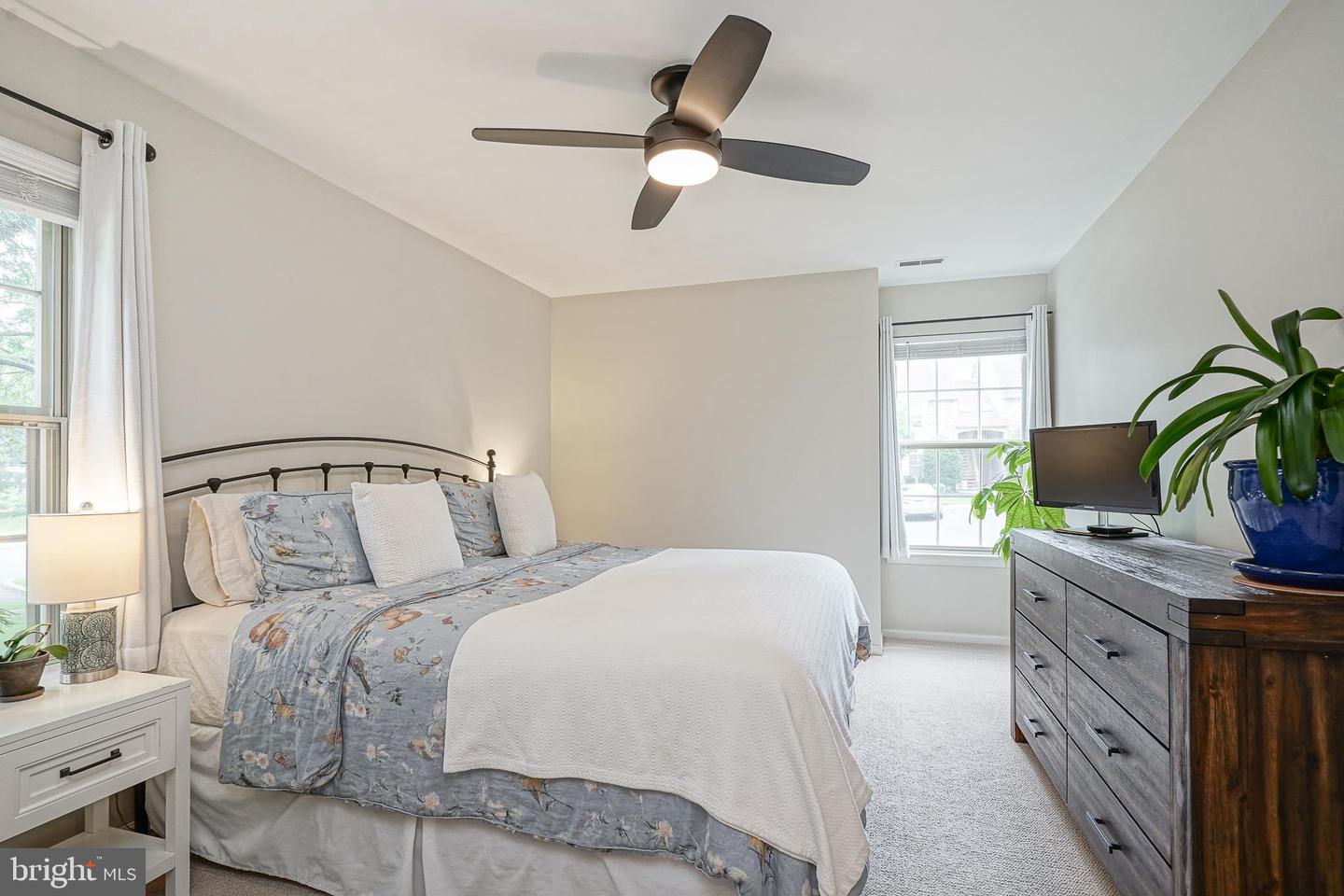 388 Tavistock Property Photo 20