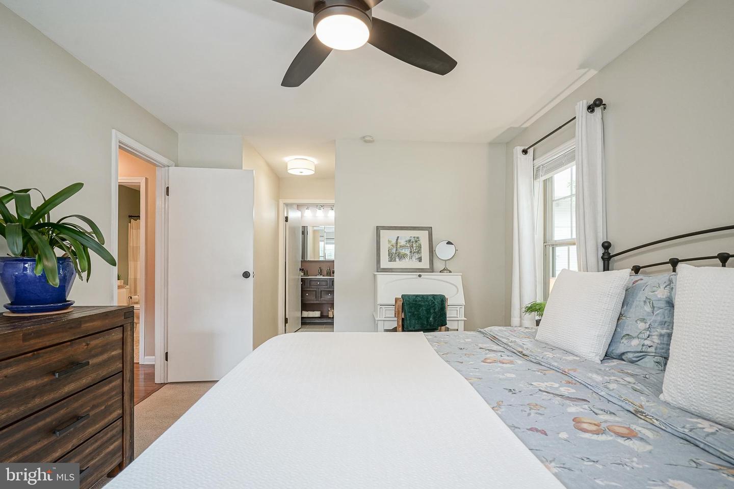 388 Tavistock Property Photo 21