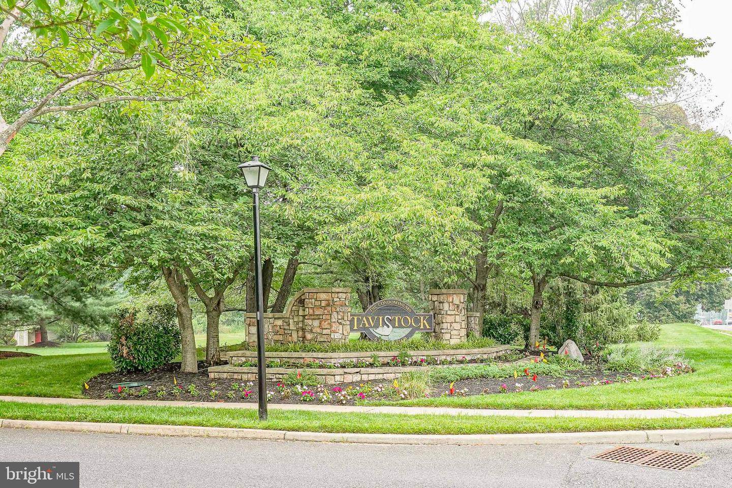 388 Tavistock Property Photo 33