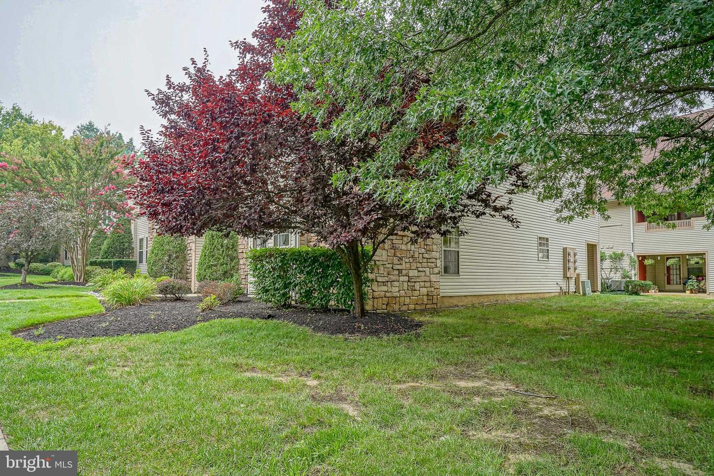 388 Tavistock Property Photo 34