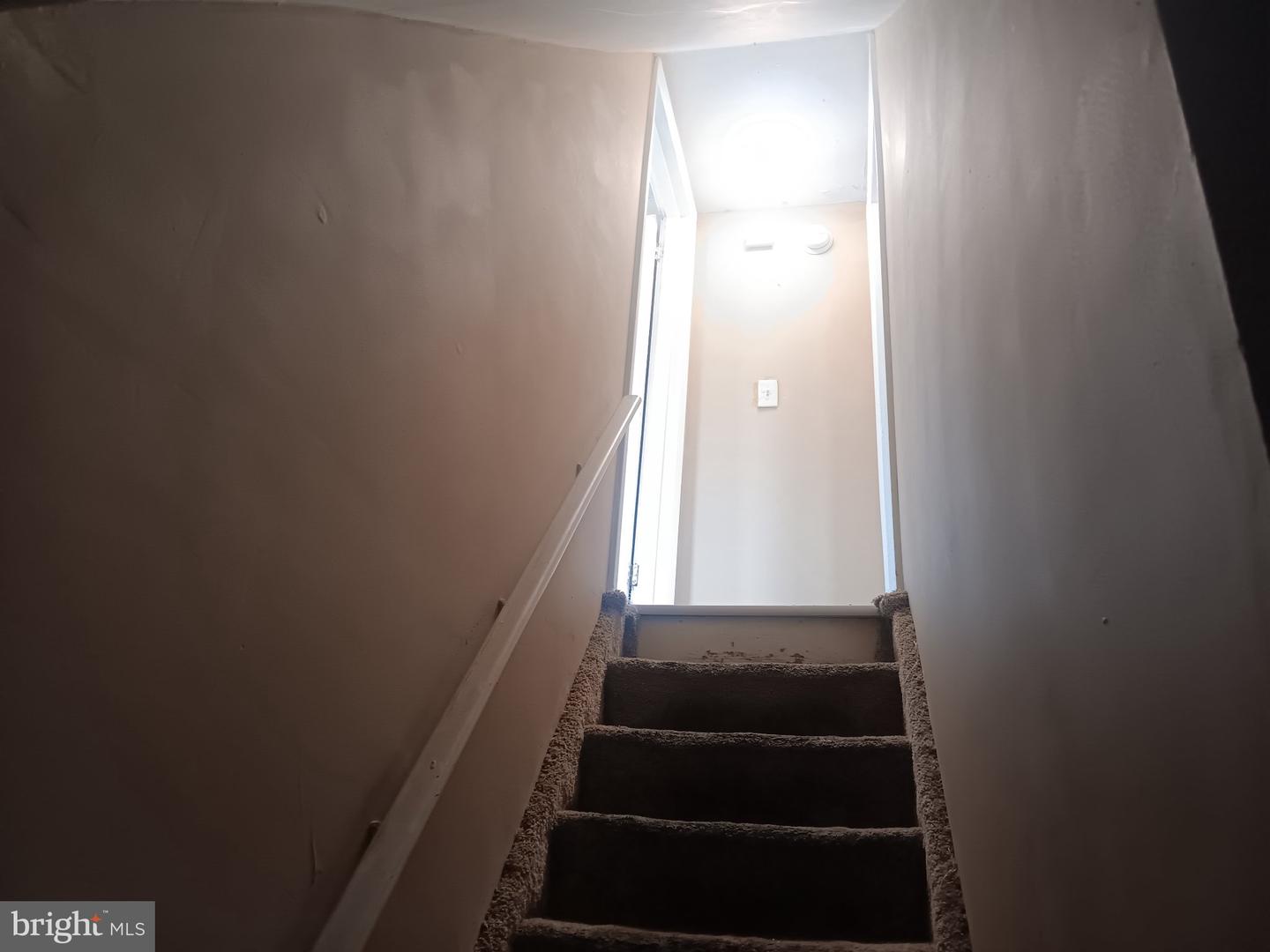 338 Morris St Property Photo 24