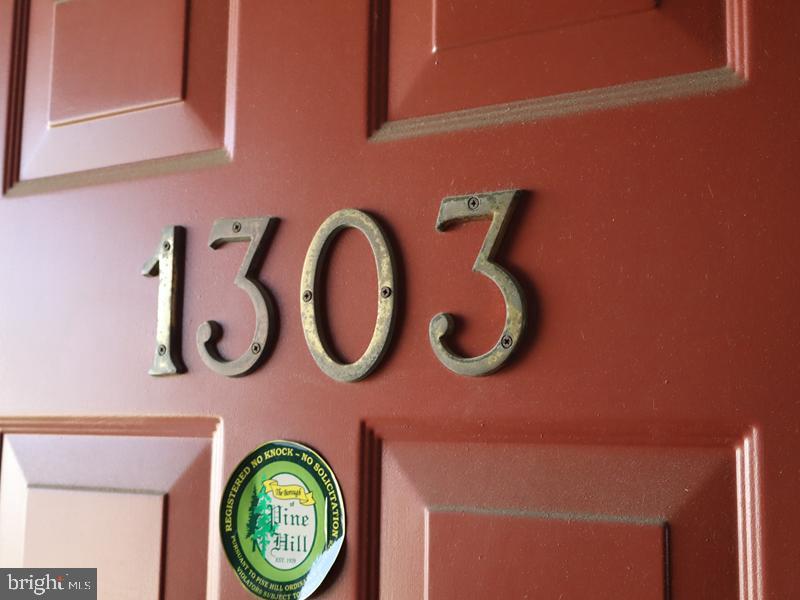 1303 Mason Run Property Photo 3