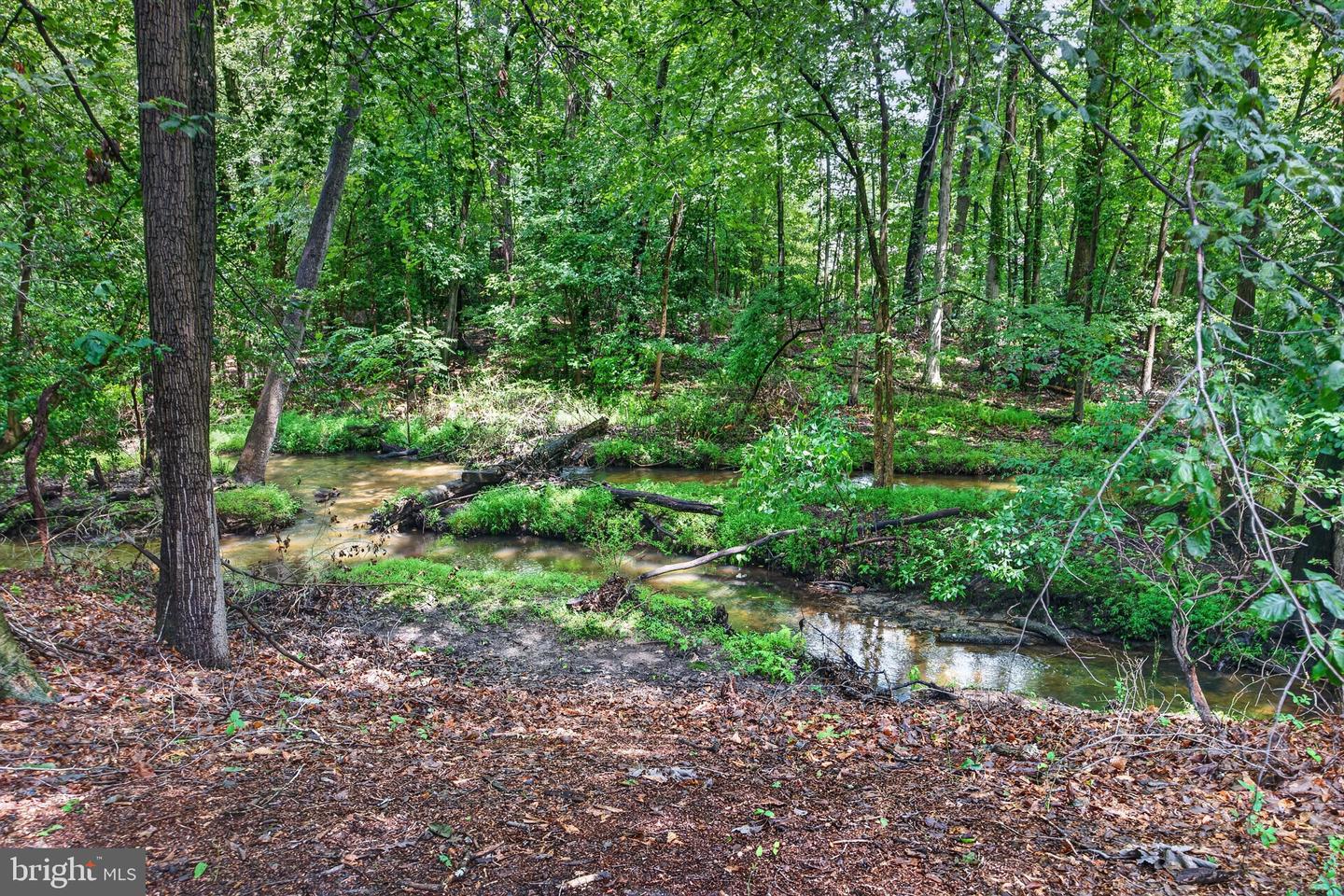 20 Meehan Blvd Property Photo 41
