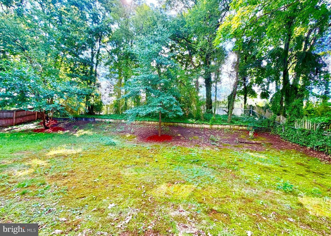 29 Strathmore Dr Property Photo 29