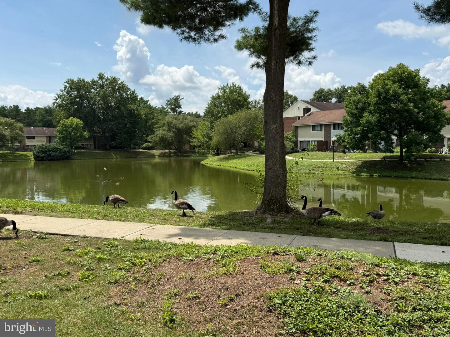 1097 Corbridge Ct Property Photo 37
