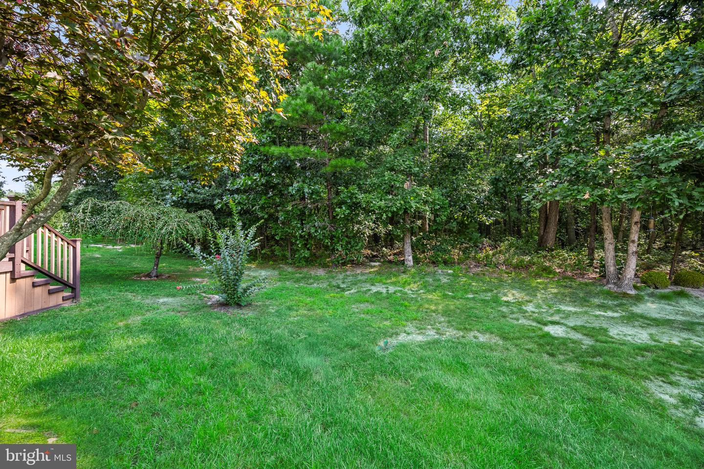 134 Hearthstone Dr Property Photo 4
