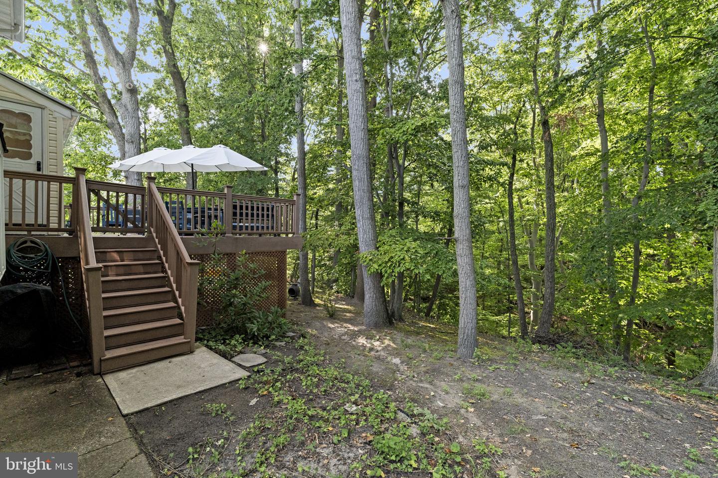240 Winding Way Rd Property Photo 33