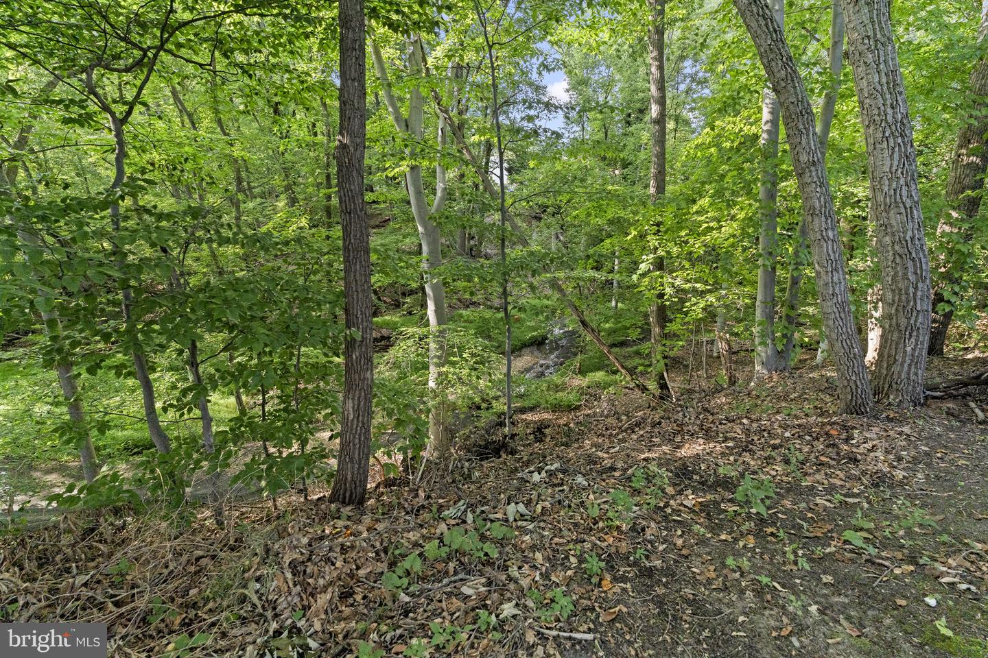 240 Winding Way Rd Property Photo 36