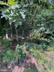0 Nelson Ave Property Photo 8