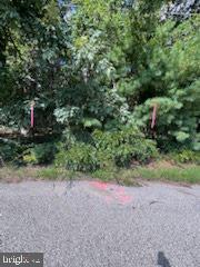 0 Nelson Ave Property Photo 9