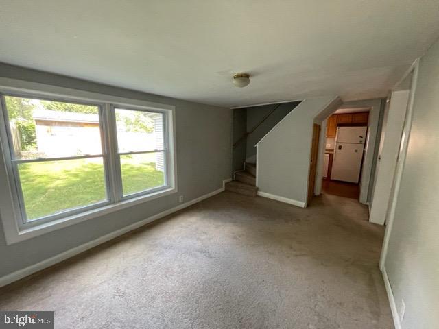 135 Potter St Property Photo 10