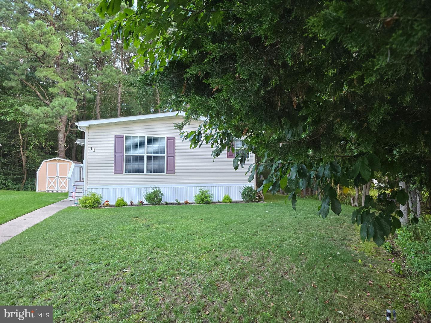 41 Shenandoah Dr Property Photo 3