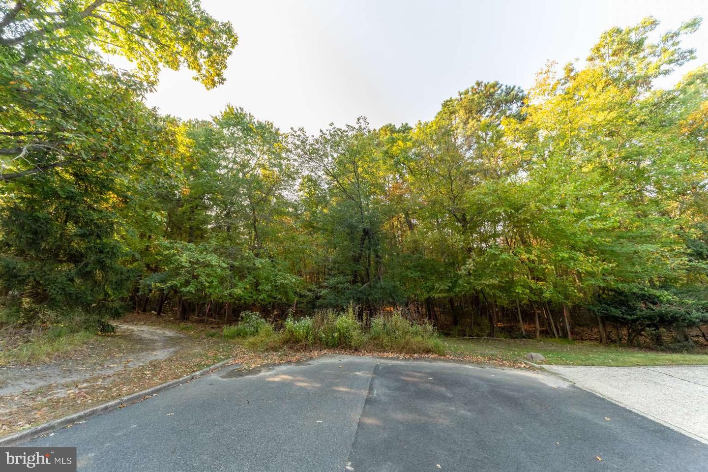 0 Cardinal Ln Property Photo 13