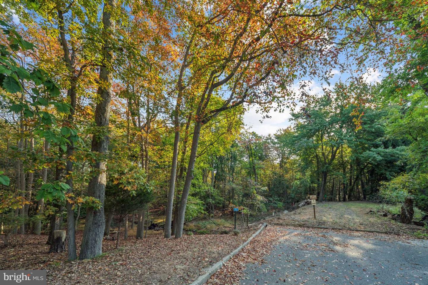 0 Cardinal Ln Property Photo 14