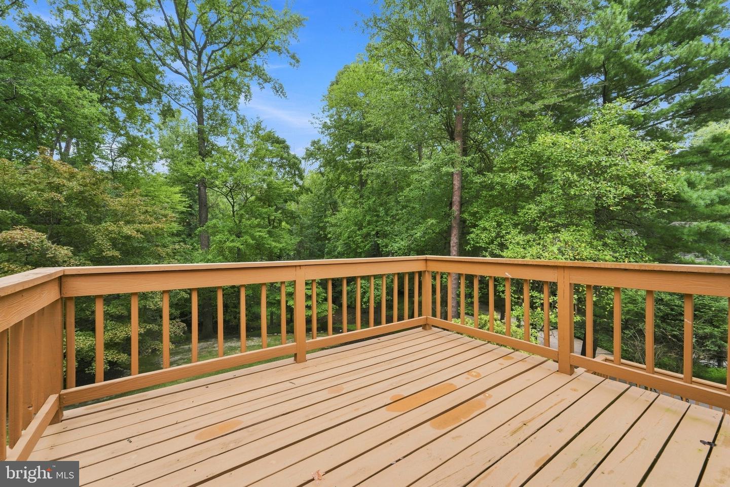 122 Saint Vincent Ct Property Photo 47