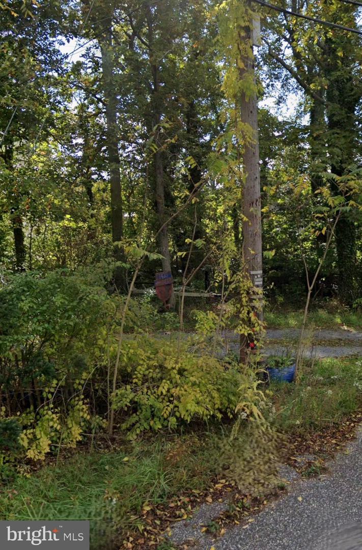 1437 Burleigh Rd Property Photo 1