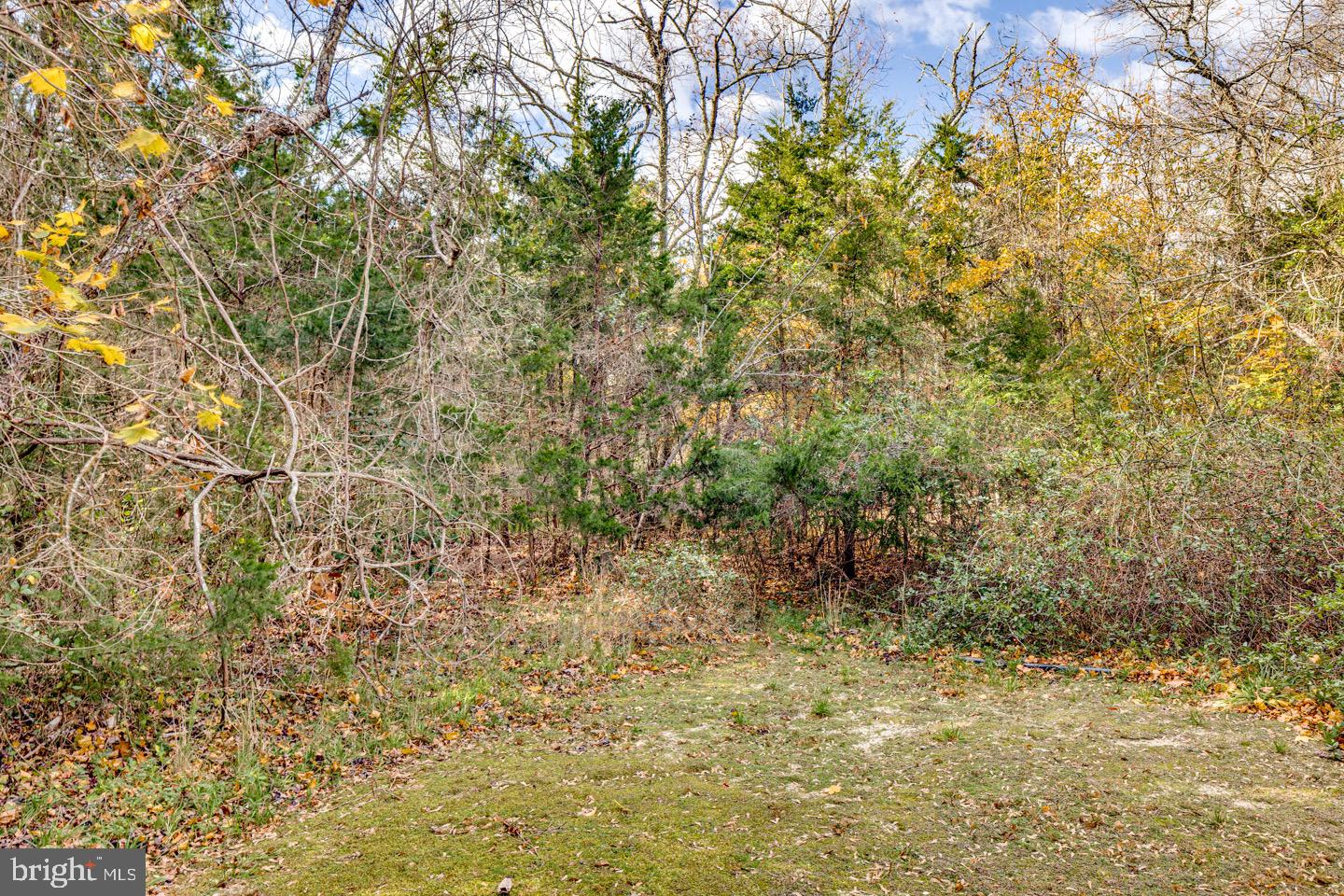 63 Siegtown Rd Property Photo 11