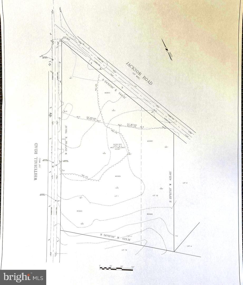 710 Whitehall Rd Property Photo 4